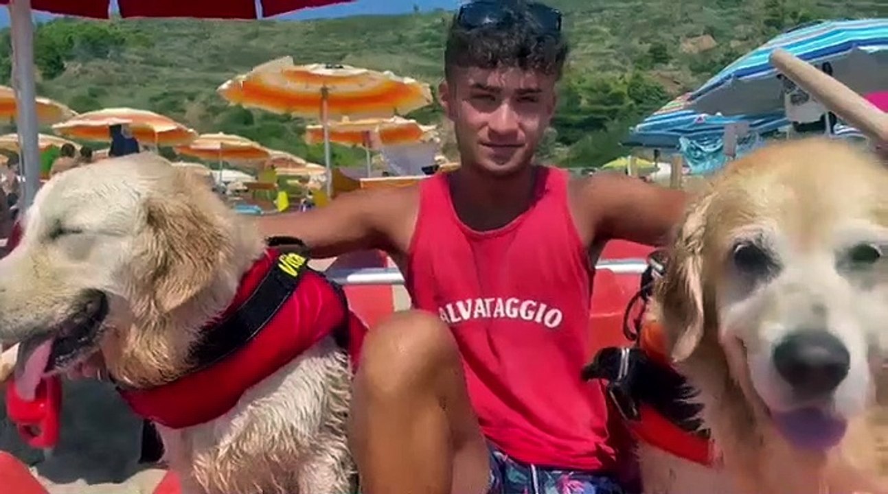 Affonda un pedalò, cani-bagnini salvano cinque ragazzi