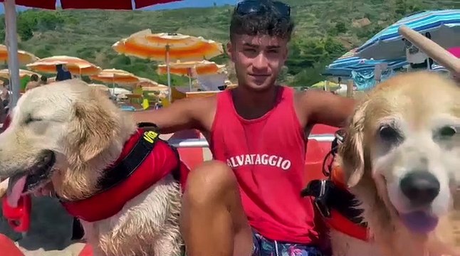 Affonda un pedalò, cani-bagnini salvano cinque ragazzi