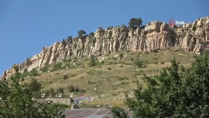 Kayalıkların üzerinde yetişen ağaçlar şaşkınlığa neden oluyor