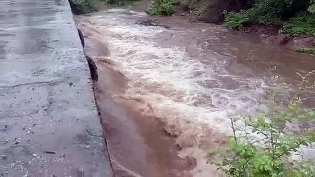 राजस्थान में हालात बिगड़े, अब पाली में भी प्रलय सी बारिश, सालों से सूखी नहीं बहने लगी, कलक्टर ने छुट्टियां कर दी