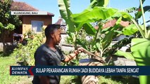 Budidaya Lebah Tanpa Sengat