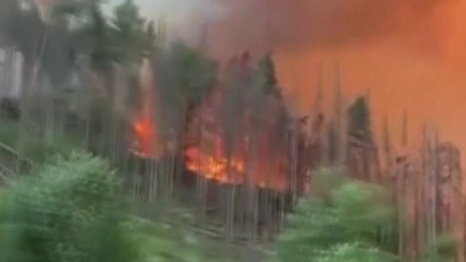 폭염과 강풍으로 유럽 곳곳 산불...그리스 이어 체코에도 번져 / YTN