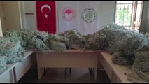 BALIKESİR - Kazdağları'nda endemik bitkileri koparan kişilere 650 bin lira para cezası kesildi