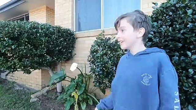 Poor Centrelink communication forcing culturally and linguistically diverse communities to pay the price