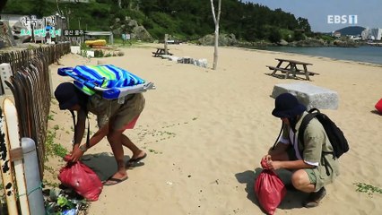 한국기행 - Korea travel_도시 해방 일지 2부- 바다에 빠진 그 사나이_#001