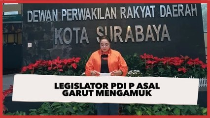 Viral Video Legislator PDI P Asal Garut Mengamuk, Publik: Banyak Rakyat Gak Didengar, Gak Bisa Marah