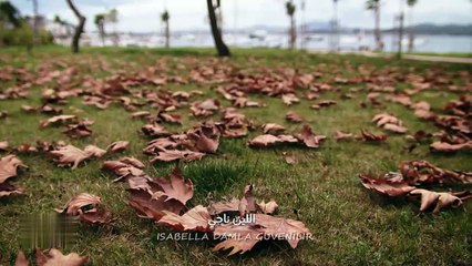 مسلسل بريق الأمل الحلقة 41 الواحدة والاربعون