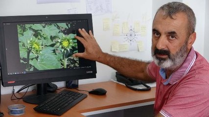 ÇANAKKALE'DE ÇAYIR TIRTILI İÇİN 2 HAFTALIK TEYAKKUZ