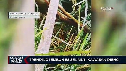 Trending ! Embun Es Selimuti Kawasan Dieng