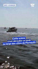 Une baleine s'attaque à un bateau au Massachusetts