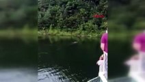 Baraj gölünde ayının yüzme keyfi kamerada