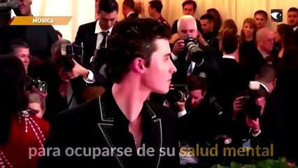Shawn Mendes cancela gira internacional