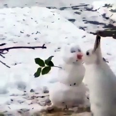 'Kardan adam'ın burnunu yerken görüntülendi