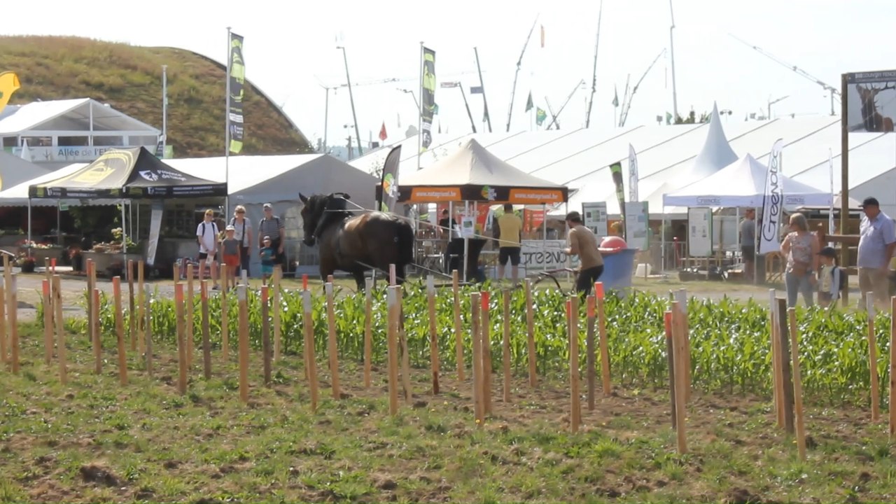 Démonstration de maraichage et travaux en vignes à la foire agricole de Libramont