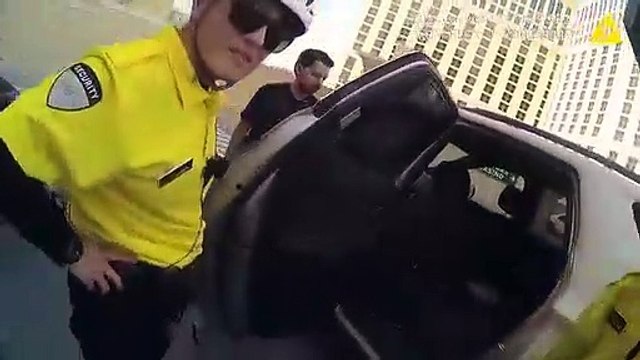 Lascia cucciolo nell'auto bollente con la bocca tappata con nastro adesivo e va a giocare al casinò