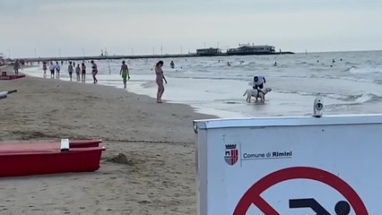 Batteri in mare, a Rimini la gente non rinuncia al bagno