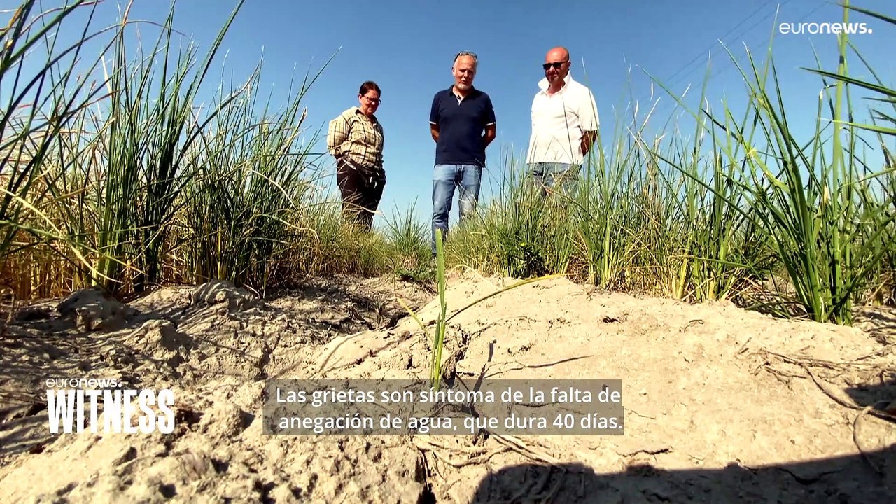 Italia se muere de sed debido a la peor sequía registrada en varias décadas