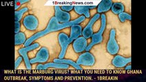 What is the Marburg virus? What you need to know Ghana outbreak, symptoms and prevention. - 1breakin