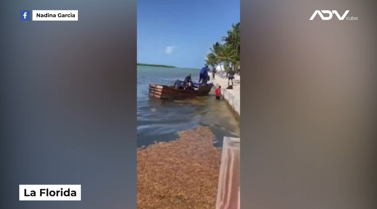 Graban a 11 balseros cubanos llegando a costas de La Florida en una embarcación artesanal.