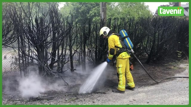 Feu de sapins à St Servais ( Namur )