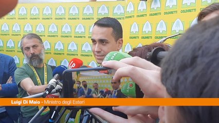 Di Maio "Salvini spieghi sue relazioni con la Russia"