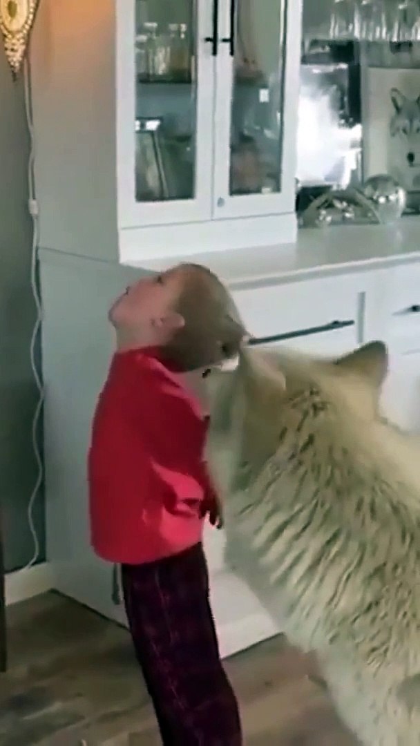 ⁣Dog and child howl  Funny pets shorts
