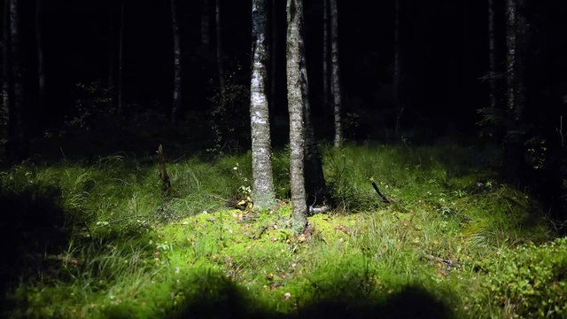 Polestar 3, así es el nuevo gran SUV eléctrico