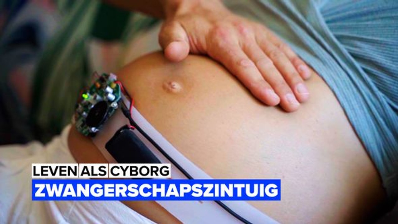 Het zwangerschapszintuig