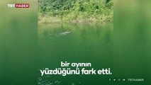 Artvin'de baraj gölünde yüzen ayı ilgi odağı oldu