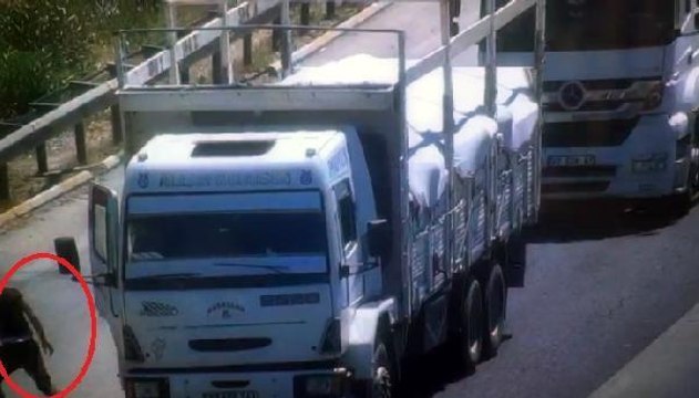 Son dakika haberi: Otoyolda tırla kamyonun çarpıştığı kazanın görüntüleri ortaya çıktı