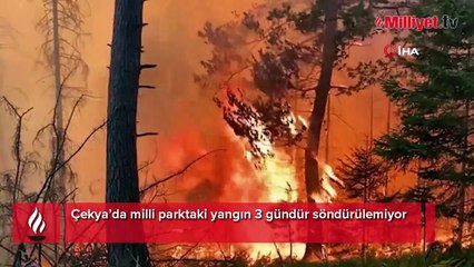 Çekya’da milli parktaki yangın 3 gündür söndürülemiyor