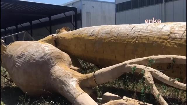 Ankara Büyükşehir Belediyesi Ankapark İşletmecisi Hakkında Hileli İflas Sebebiyle Suç Duyurusunda Bulundu