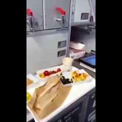 சாப்பாட்டு தட்டில் கிடந்த ‘பாம்பு தலை’.! மிரண்டு போன பயணி!