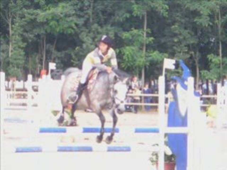 Vidéo Lamotte Beuvron 2007