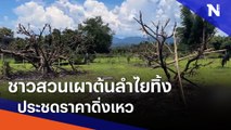 ชาวสวนเผาต้นลำไยทิ้งประชดราคาดิ่งเหว | เนชั่นทันข่าวค่ำ | NationTV22