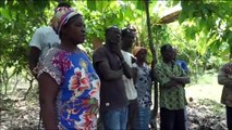 Conseil café cacao : le conseil d’administration fait le point dans les régions productrices