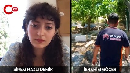 Hatay'da öldürülen köpeklerin sahibi konuştu