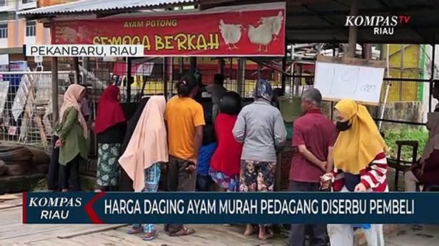 Harga Daging Ayam Murah Pedagang Diserbu Pembeli