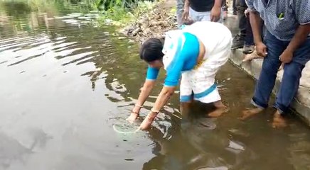 ডেঙ্গু রুখতে জলাশয় ও নালায় মশার লার্ভা খাদক গাপ্পি মাছ ছাড়ল  বাঁকুড়া পৌরসভা | Oneindia Bengali