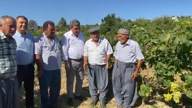 Mersinli Üzüm Üreticileri: Maliyeti 5 Lira, Fabrika 2 Bin 100 Lira Fiyat Açıklıyor. Bu Nasıl Olacak Bilmiyorum