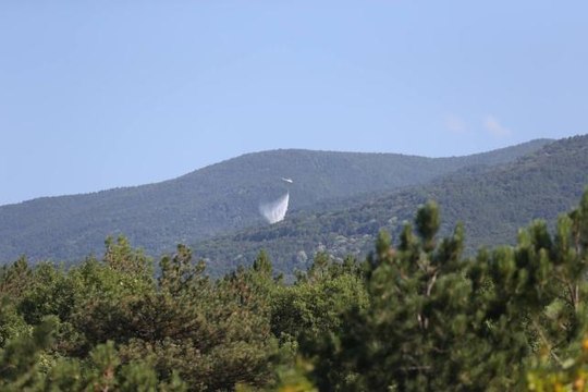 Bursa'da çıkan orman yangını kontrol altına alındı
