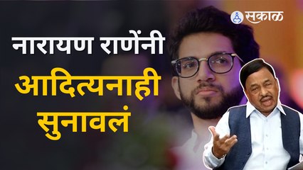 Narayan Rane on Aditya Thackeray: 'खोके जमा केलेस, अजून महाराष्ट्र कळालेला नाही'