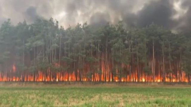 Germania, i roghi devastano centinaia di ettari di foresta