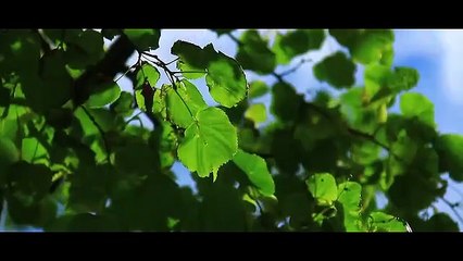 مسلسل ساق البامبو الحلقة 5 الخامسة