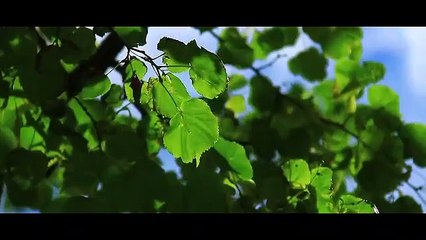 مسلسل ساق البامبو الحلقة 5 الخامسة