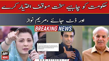 The government should take strict action, Maryam Nawaz