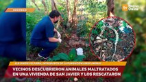 Denunciaron a un vecino que se alimentaba de perros y gatos en San Javier
