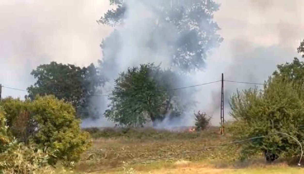 Son dakika haberleri... ANIZ YANGINI KAMPÜSTEKİ ORMANA SIÇRADI