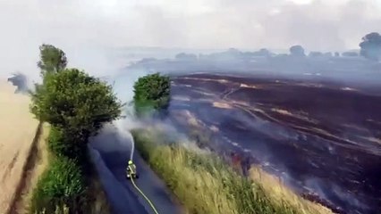 Firefighters tackle blaze in Tea Green