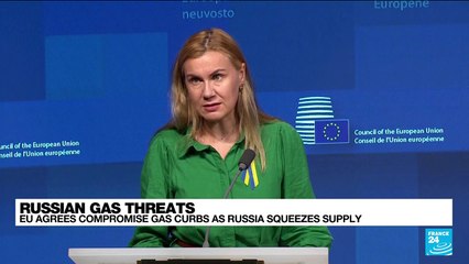 EU gas plan shows Russia 'won't split us,' says German energy minister